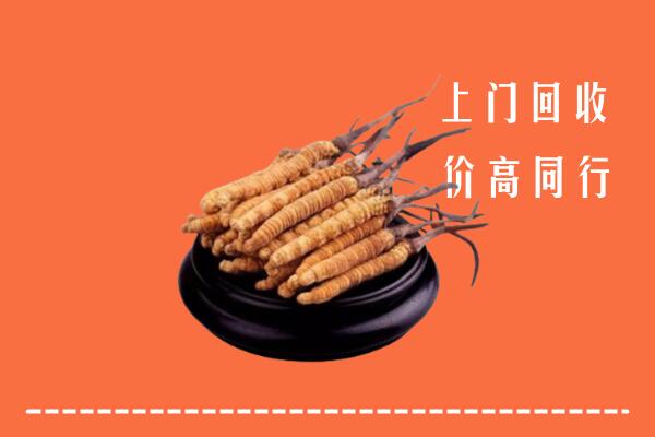 收购行情：郑州荥阳市回收散虫草
