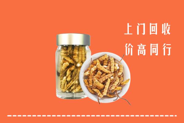 高价求购：郑州荥阳市回收冬虫夏草